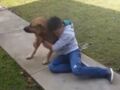 Vidéo- Un enfant pleure de joie en retrouvant son chien perdu depuis des mois