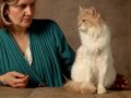 L’angora turc, un chat à l'élégance discrète