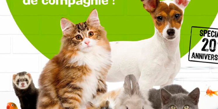 Les animaux de compagnie tiennent salon au Parc Floral de