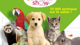 site de rencontre entre amoureux des animaux