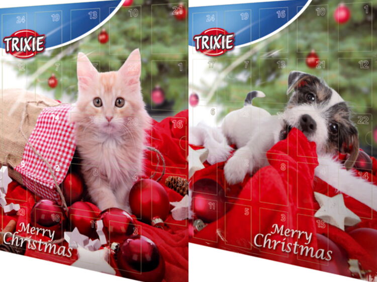 calendrier lettre chien