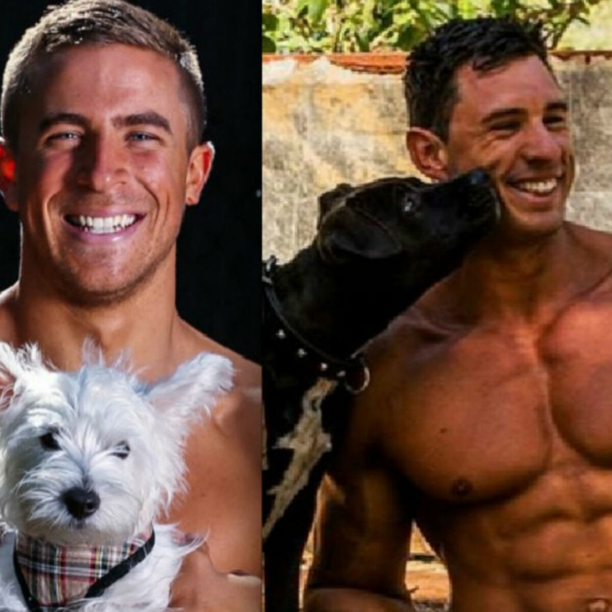 Des pompiers australiens torses nus avec des chiots, la recette parfaite de  ce calendrier (PHOTOS)