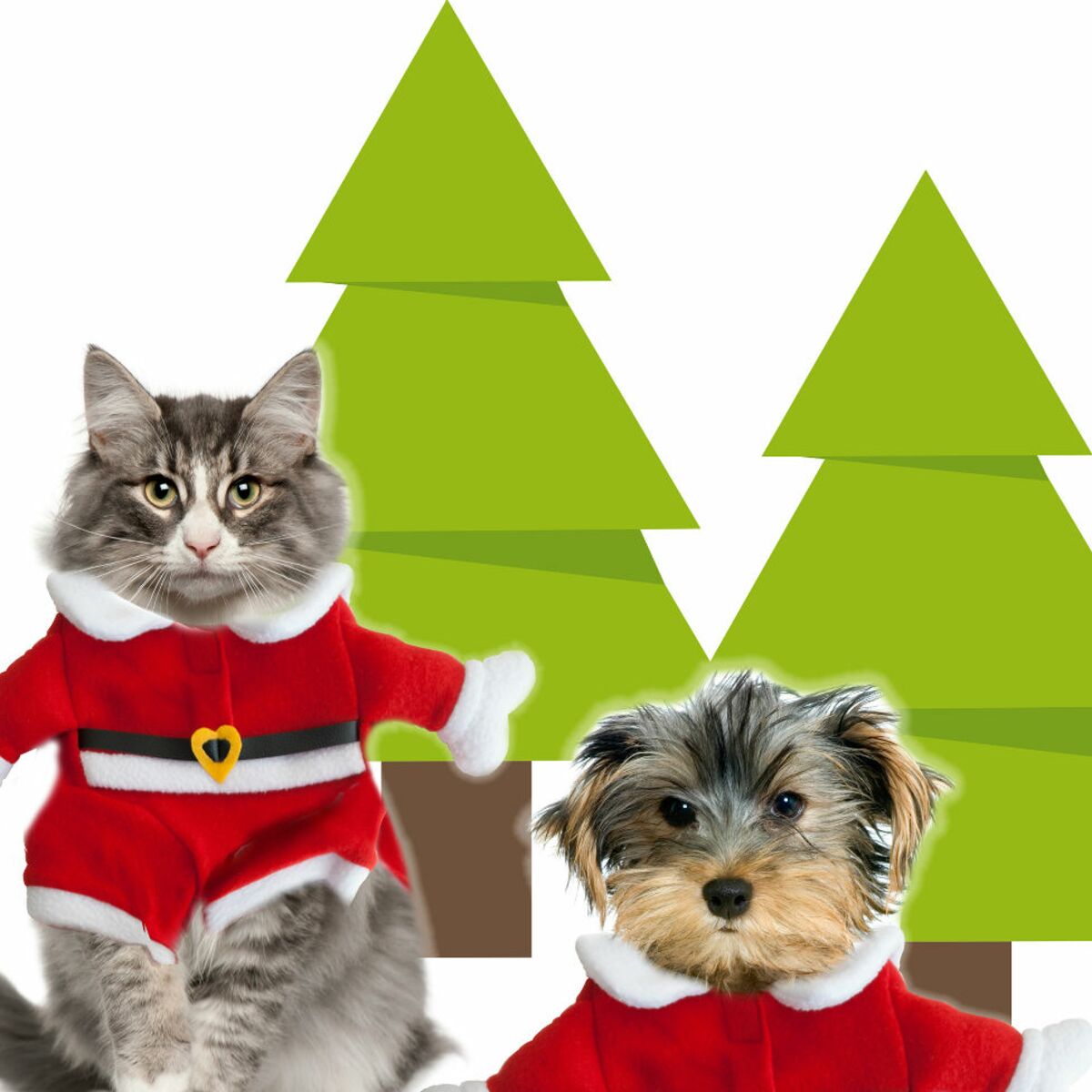 Chien Et Chat En Pere Noel Femme Actuelle Le Mag