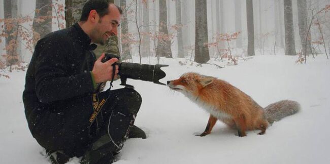 Des instants magiques capturés entre photographes et animaux