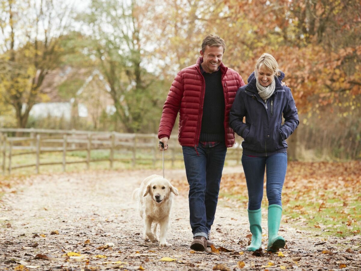 Le chien : un atout séduction ? : Femme Actuelle Le MAG