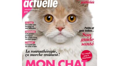 Les Peripeties De Nos Amis Les Chats Femme Actuelle Le Mag