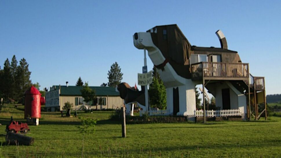 Louer une maison en forme de chien, ça vous dirait ?
