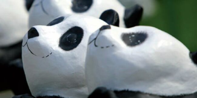 1 600 pandas installés à Boulogne