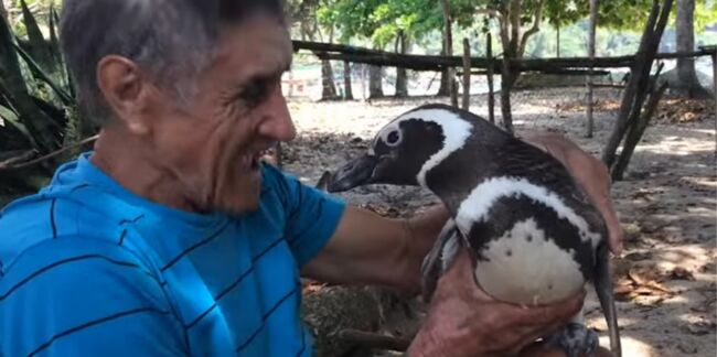 La belle histoire du pingouin et de l'homme qui s'aimaient