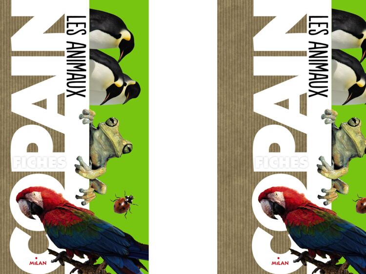 Planete Animal Les Jeux De L'amour Tout savoir sur les animaux de la planète : Femme Actuelle Le MAG