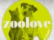 Le site Zooplus donne un coup de pouce aux associations animalières