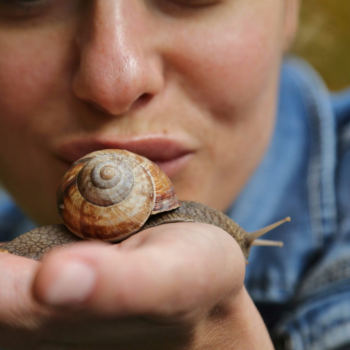 Soins A La Bave D Escargot Pourquoi Il Faut Vous Y Mettre Femme Actuelle Le Mag