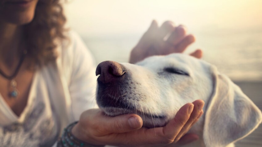 Apprendre A Communiquer Avec Les Animaux C Est Aussi Un Outil Pour Mieux Se Connaitre Femme Actuelle Le Mag