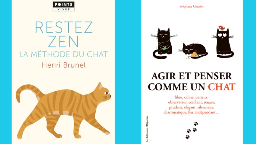 On S Inspire Du Chat Pour Vivre Mieux Femme Actuelle Le Mag