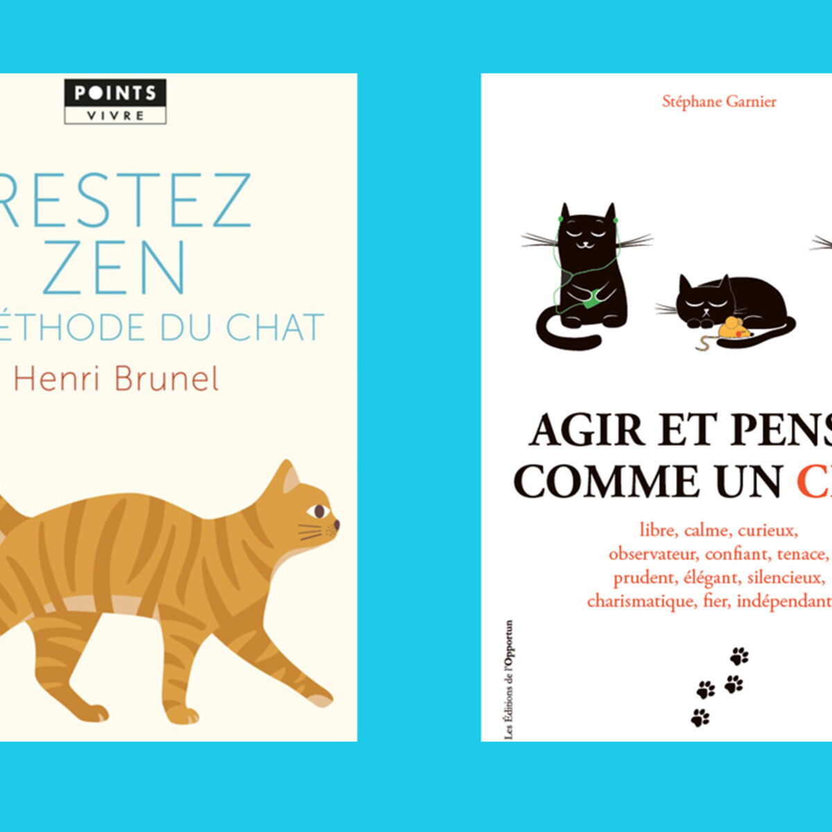 On S Inspire Du Chat Pour Vivre Mieux Femme Actuelle Le Mag