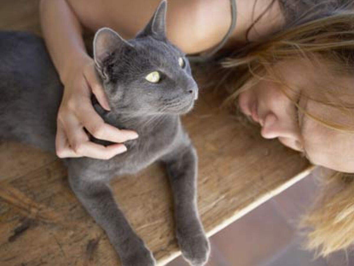 Mon Chat Me Rend Zen Femme Actuelle Le Mag