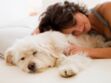Insomnies : essayez de dormir avec votre animal !