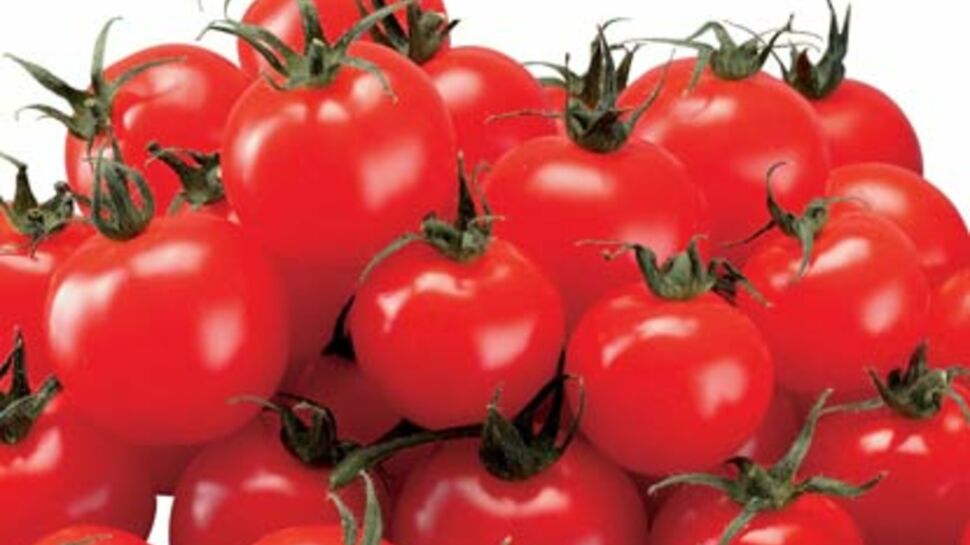 La tomate, star de l'été