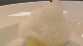 Repas De Noel Frederic Anton Repas De Noel Les Recettes Chics Et Faciles De Frederic Anton Femme Actuelle Le Mag