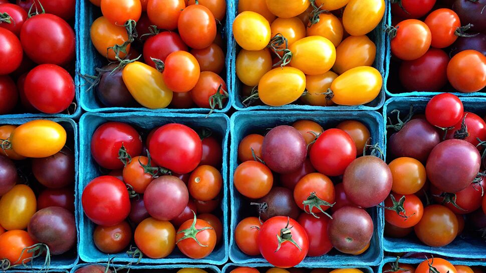 Comment choisir ses tomates