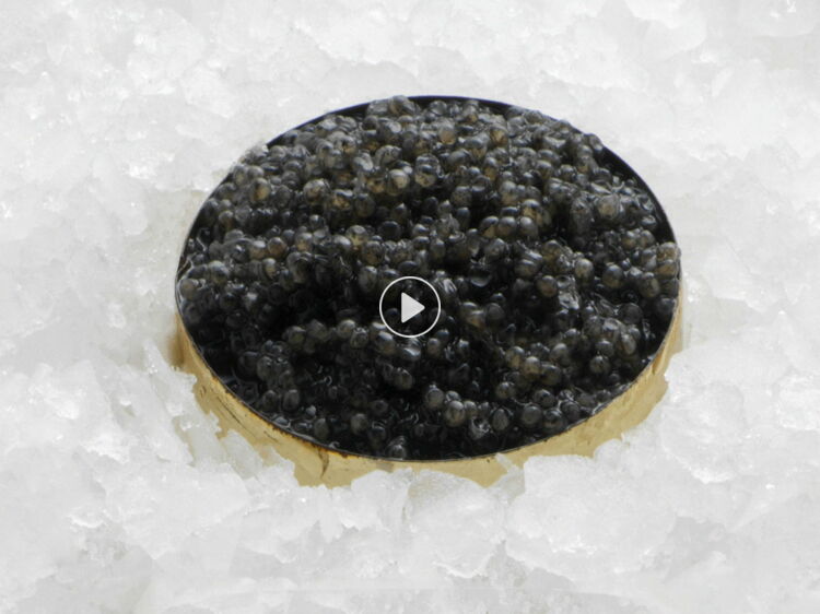 Comment déguster le caviar Femme Actuelle Le MAG