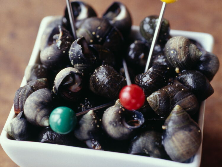 Cuisson Bigorneaux Eau Froide Bigorneaux – Produits De La Mer 19 Comment réussir la cuisson des bigorneaux ? : Femme Actuelle Le MAG