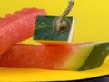 Facile et rapide : comment couper une pastèque ?