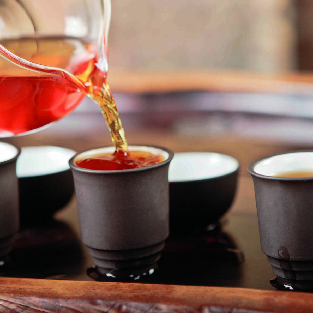 Le rooibos, un thé rouge ? Guide du Thé - Les Thés de la Pagode