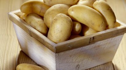 Fécule de pommes de terre : farine, usages, Maïzena