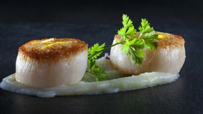 Coquilles Saint-Jacques : Nos Meilleures Entrées Pour Noël : Femme ...