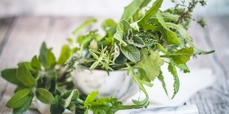 5 astuces pour conserver ses herbes aromatiques - Cuisine Actuelle