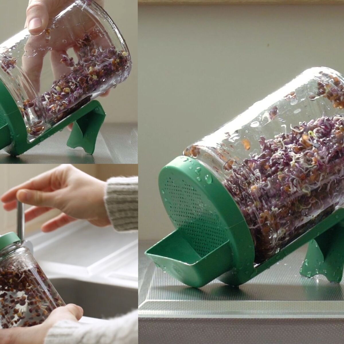 Vidéo : comment faire ses graines germées dans un germoir bocal