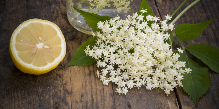 La Fleur De Sureau Une Nouvelle Saveur à Découvrir Femme