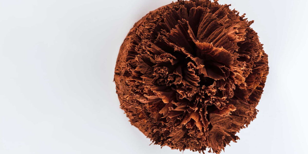 Le Meilleur Patissier La Recette Du Gateau President De Mercotte Femme Actuelle Le Mag