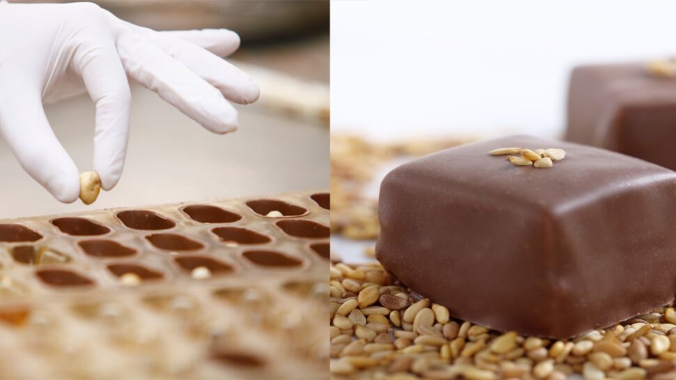 Puyricard : dans les secrets d'un chocolatier