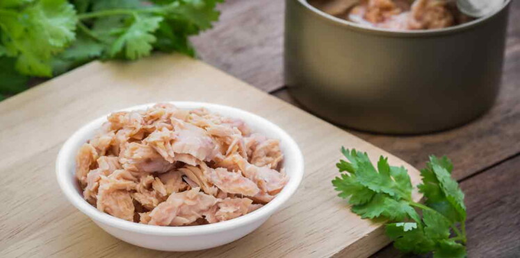 Thon en boite : comment le choisir et le cuisiner ? : Femme Actuelle Le MAG