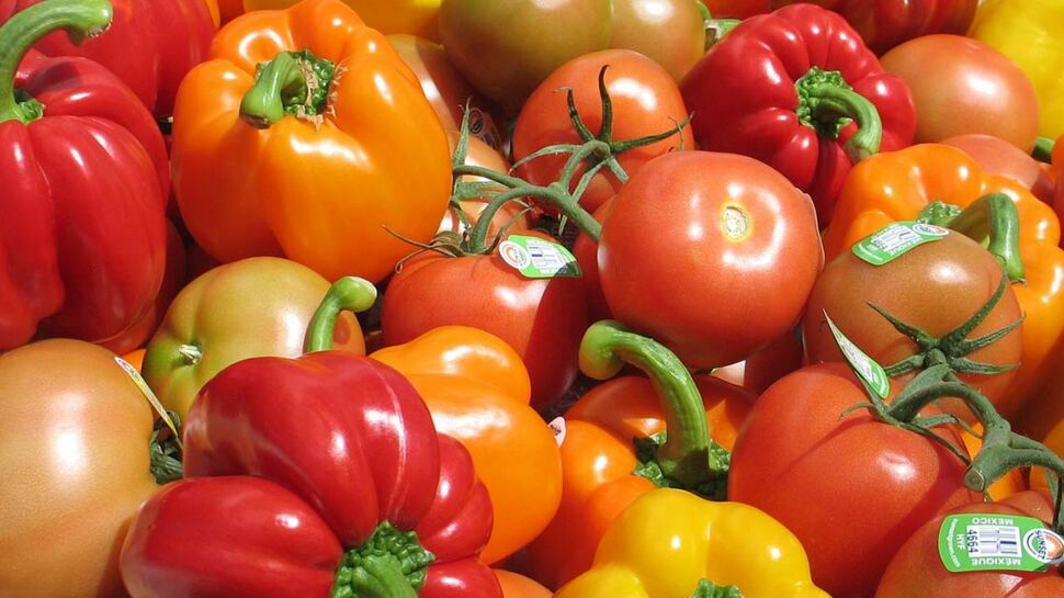 Tomate, poivron… Les stars rouges de nos recettes d’été