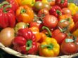 Tomate, poivron… Les stars rouges de nos recettes d’été