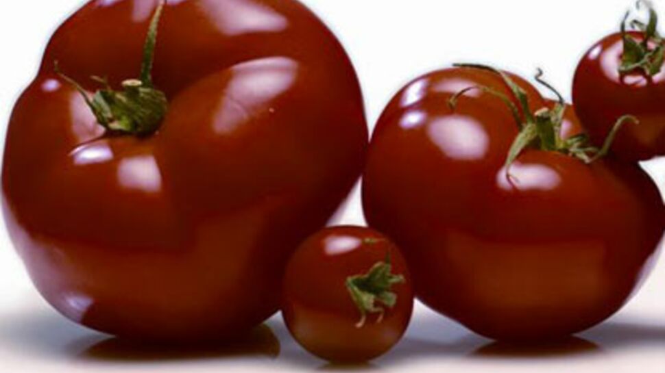 Et si c’était la fin des tomates sans goût ?