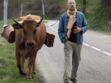 Ciné : on a vu et aimé "La vache" et "Zootopie"