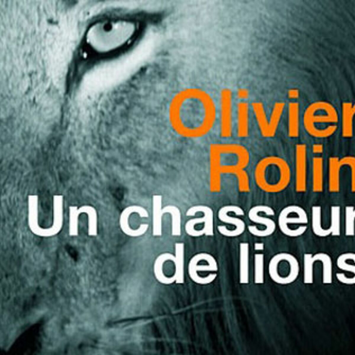 Un chasseur de lions d Olivier Rolin Femme Actuelle Le MAG