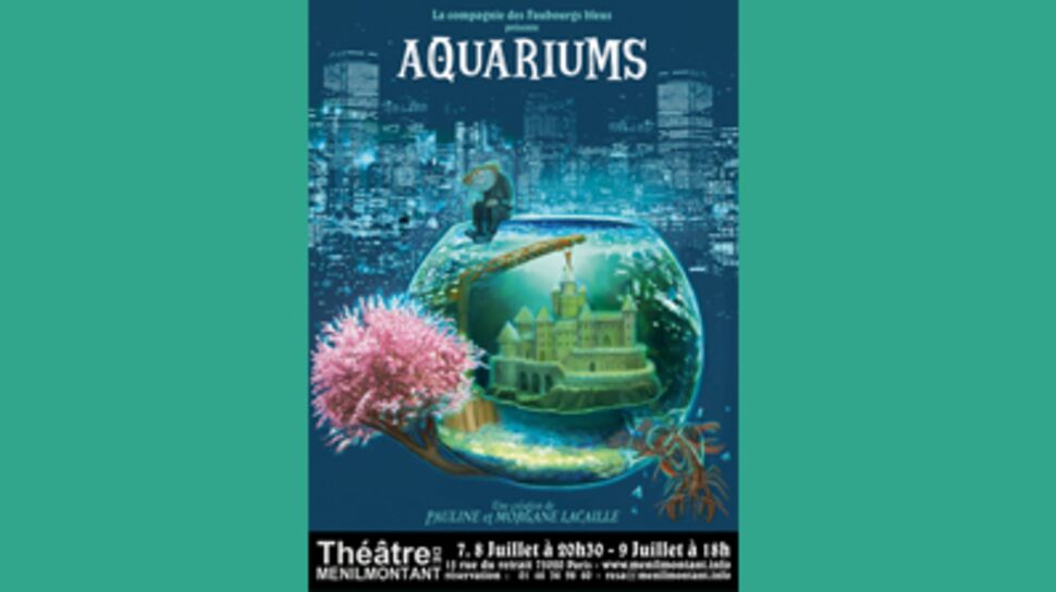 Aquariums : un spectacle à quatre mains