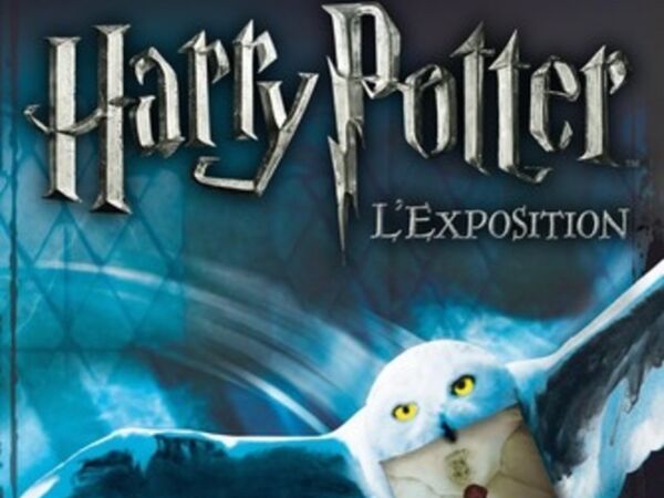 Photos : Harry Potter, L’exposition Magique S'est Installée à Paris ...