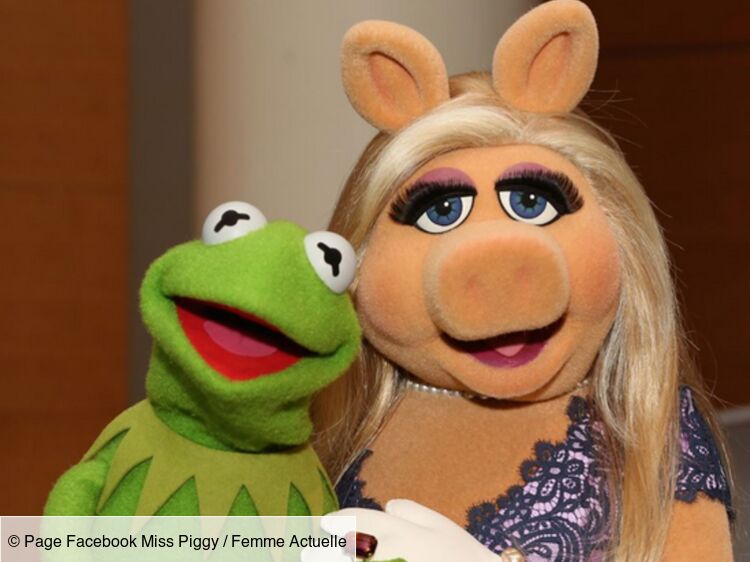 Le Muppet Show : Kermit la grenouille et Peggy la cochonne, c'est