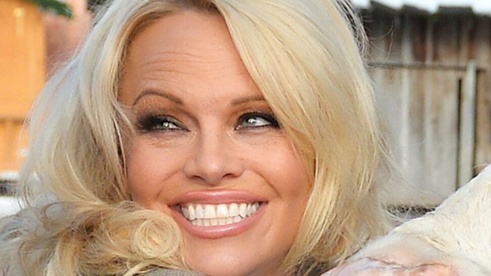 Photo- Pamela Anderson, refaite, et complètement méconnaissable