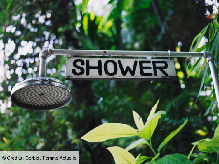 Comment changer un flexible de douche ? Etapes & conseils
