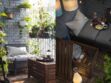 Décoration d'extérieur : 4 idées pour aménager un balcon végétal