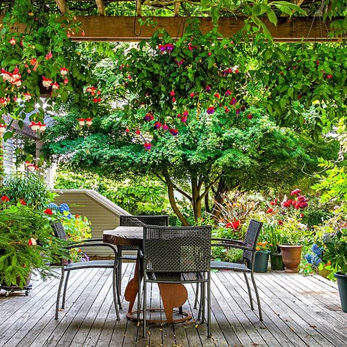 Plantes d'extérieur pour la terrasse : notre liste des 20 plus belles