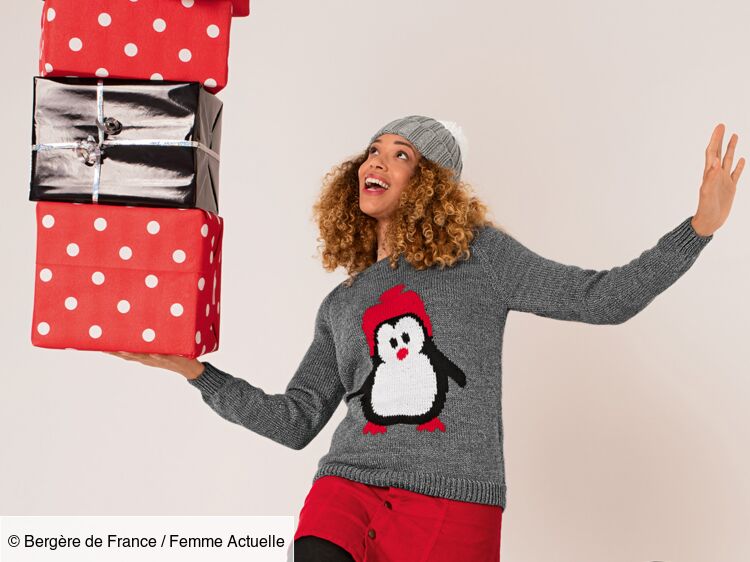 Pull bergère discount de france femme