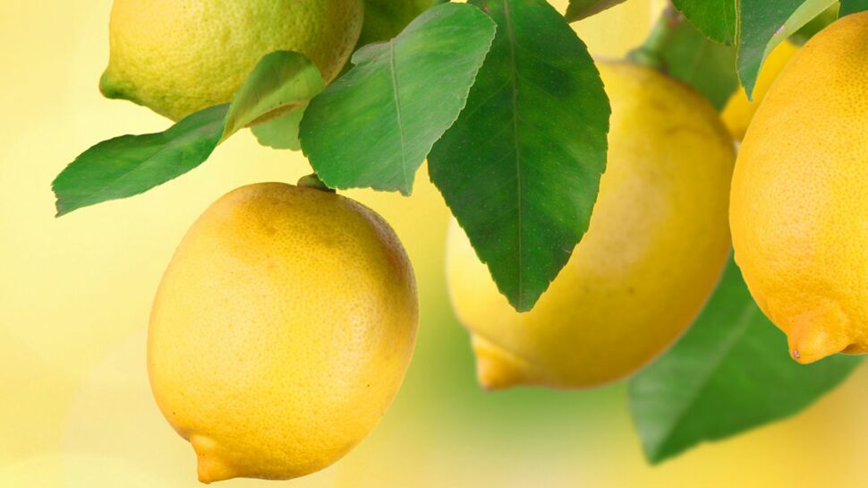 L'acide citrique : le produit ménager indispensable